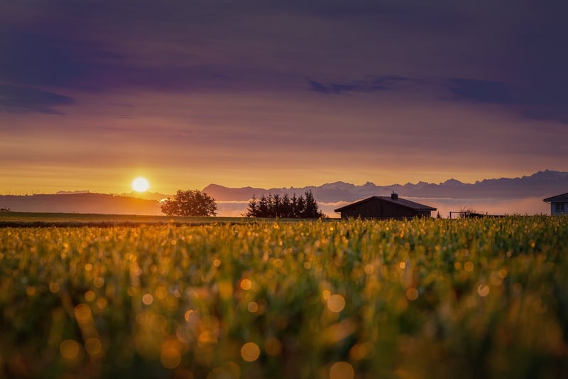 Scottish Highlands Lodge
